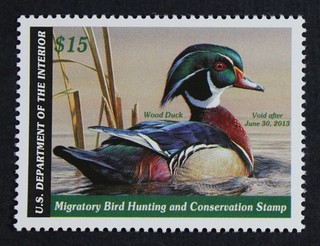 CKStamps: US Federal Duck Stamps Collection Scott#RW79 $15 Mint NH OG