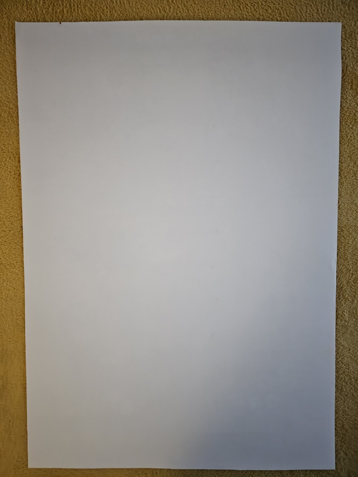 Bild 10 von 11
