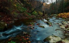 Landscape river nature forest leaves fall water rocks Custom Gaming Mat Desk