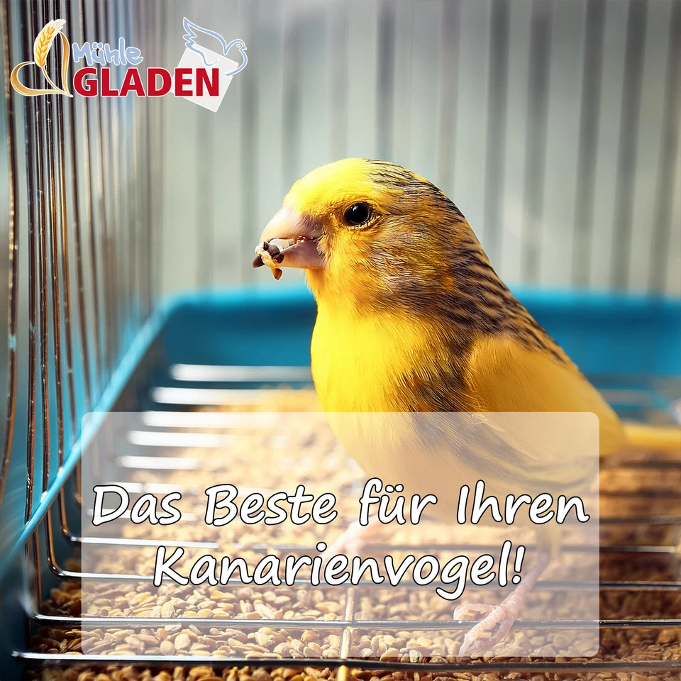 Gladen - Kanarien ohne Rübsen - Vogelfutter - 20kg - Bild 3 von 4