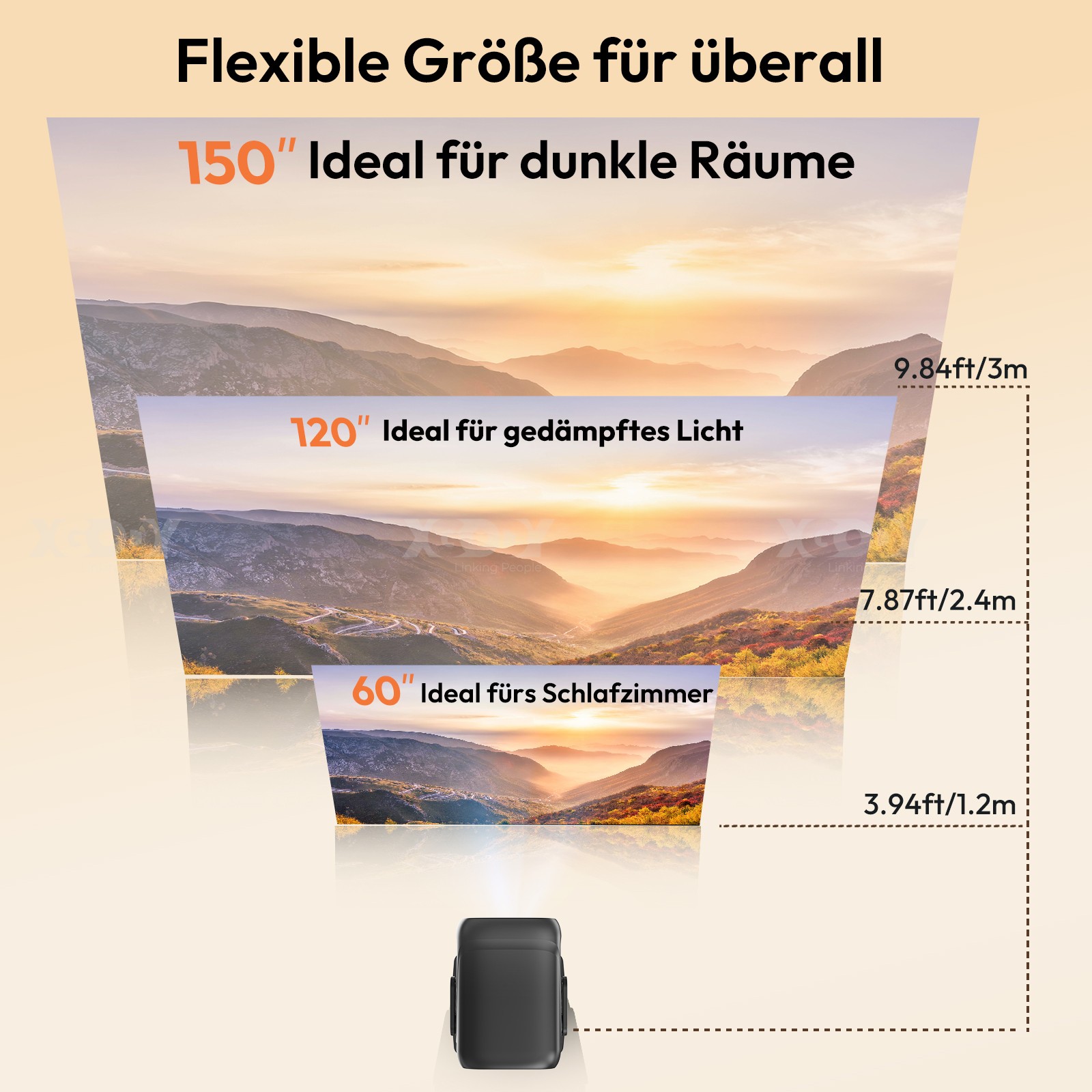 Bild 9 von 14