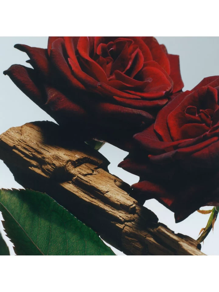 Jo Malone London Velvet Rose & Oud Body & Hand Wash 250ML BOXED WITH GOLD BOW - Image 3 of 4