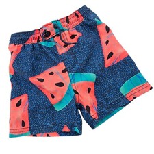Tea Collection Boys 18-24 Months Watermelon Print Swim Trunks