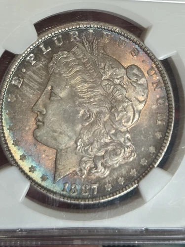 1887 $1 Morgan Dollar NGC MS65 Toned