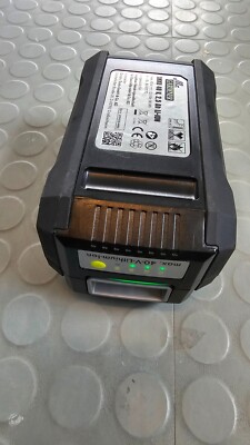 Mr Gardener 40v Akku 2,5Ah eBay