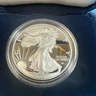 2024 W Proof $1 American Silver Eagle 🦅 👀 ASE 1oz 999 Fine NEW! Capsule!