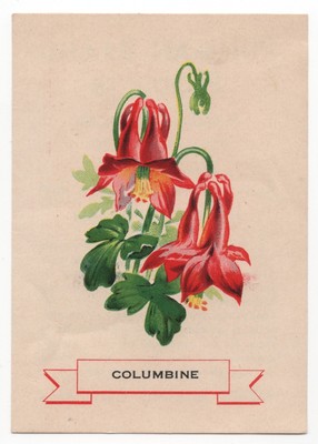 1920 Columbine Flower Trading Card Weber Bread D35? Like Cigarette Silks S49 USA