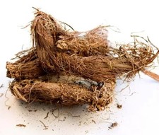 Pure Jatamansi Root, Spikenard, Muskroot II Balchar Nardin Whole, Nardostachys