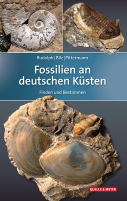 Fossilien an deutschen Küsten, Frank Rudolph