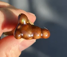 Fire Agate Deer Creek 12 Ct 1” X 1/2” Unique Shape.From Cliff Willis Collection