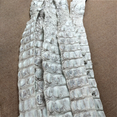 2X Real Alligator Crocodile Leather Bone Genuine Skin Hide Pelt