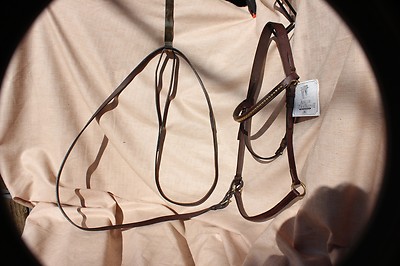 18-5 New Arc de Triomphe brown presentation bridle with lead full size