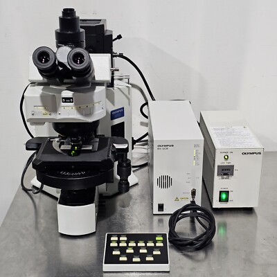 Olympus BX61 Fluorescence Phase Contrast Microscope