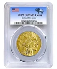 LIBERTY COIN AMERICA APACHE BUFFALO $50 DOLLARS 2018 24k GOLD PLATED Lot