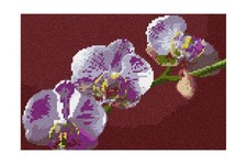 Pepita Needlepoint kit: Orchid, 10" x 7" Regular Canvas  Thread 