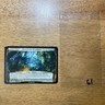 🏞️ Grove of the Dreampods MTG Oversize Planechase 2012 DCI WPN Promo 18/40 L61