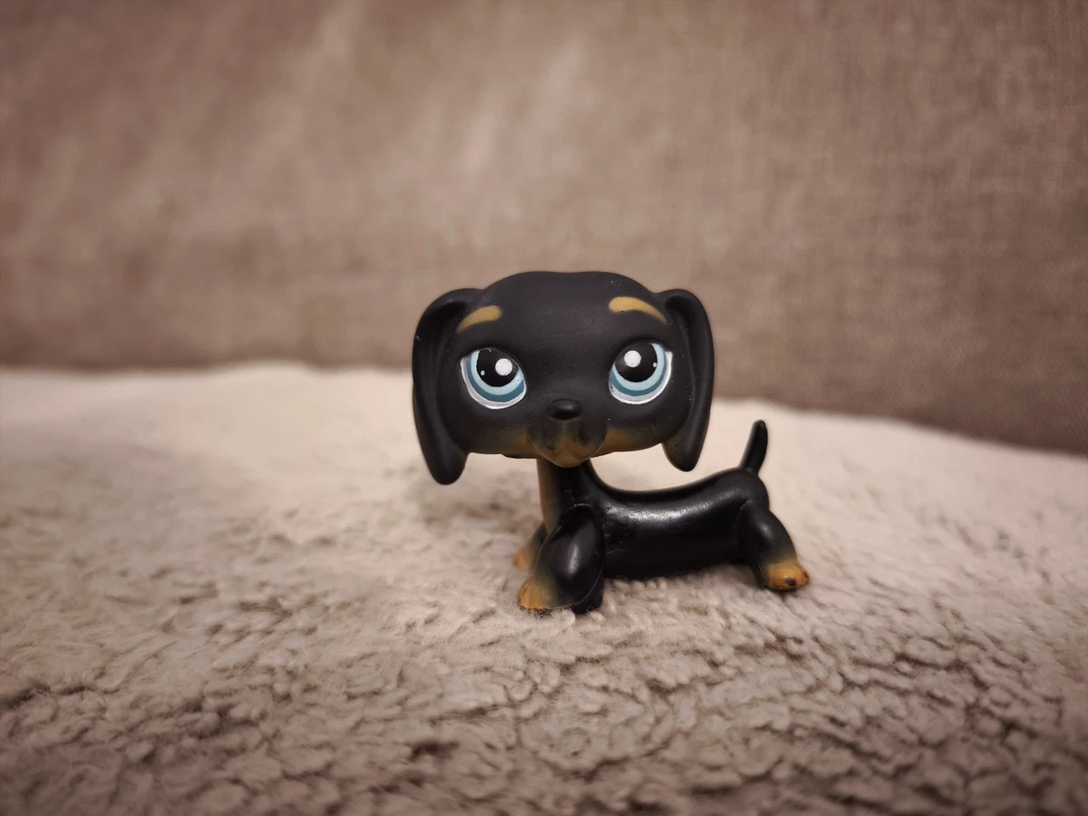 Lot De 2 Grands Littlest Pet Shop - Teckel Et Panda (HASBRO)