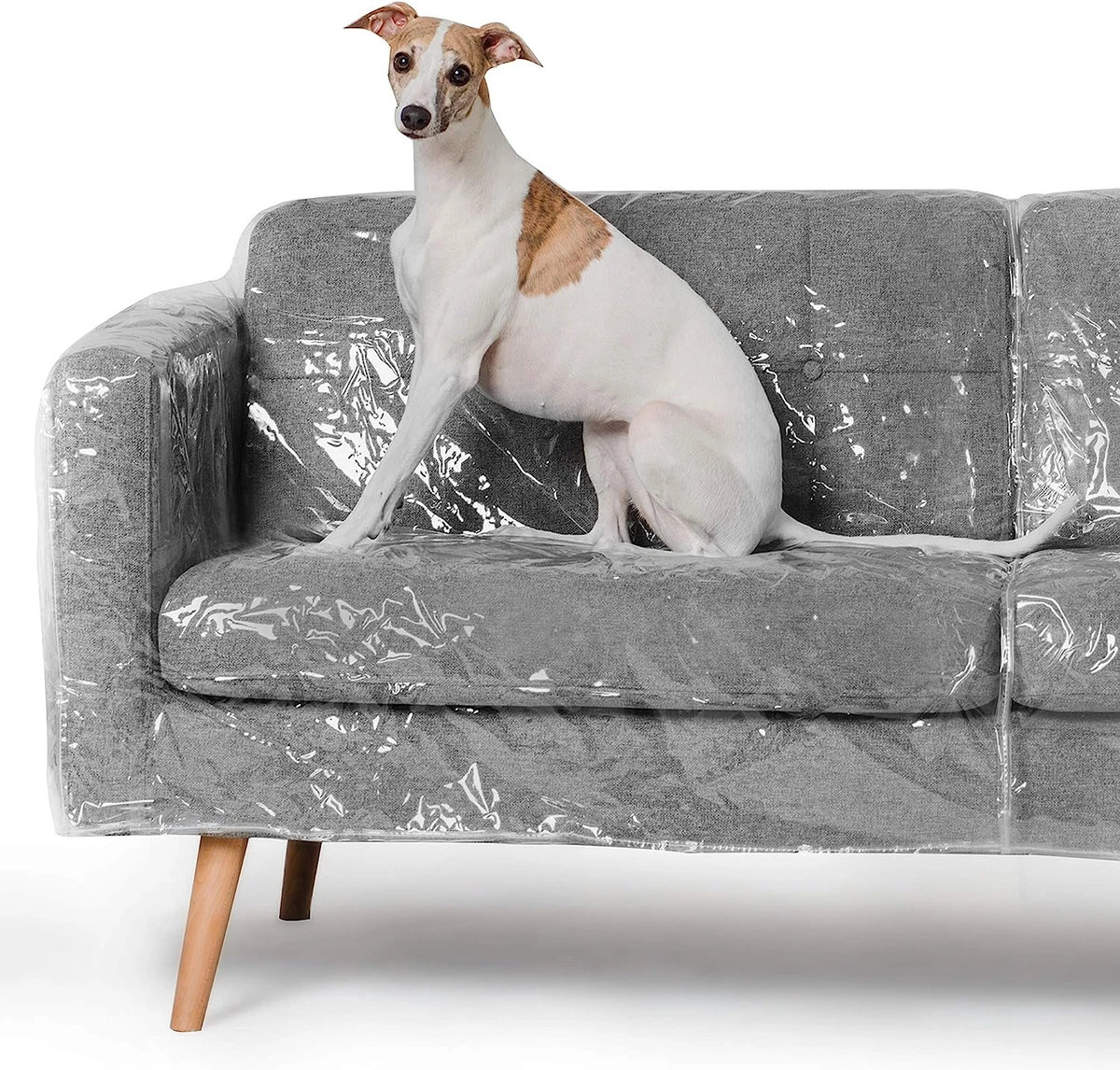 Better than Plastic Couch Cover for Dogs Big Thick Sofa