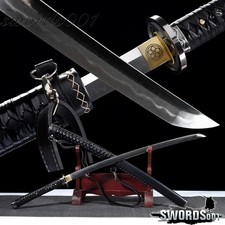  on The Hot Collector