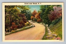 Nyack NY-New York, Road And Trees, Vintage c1951 Postcard Nyack NY-New York, Road And Trees, Vintage c1951 Postcard