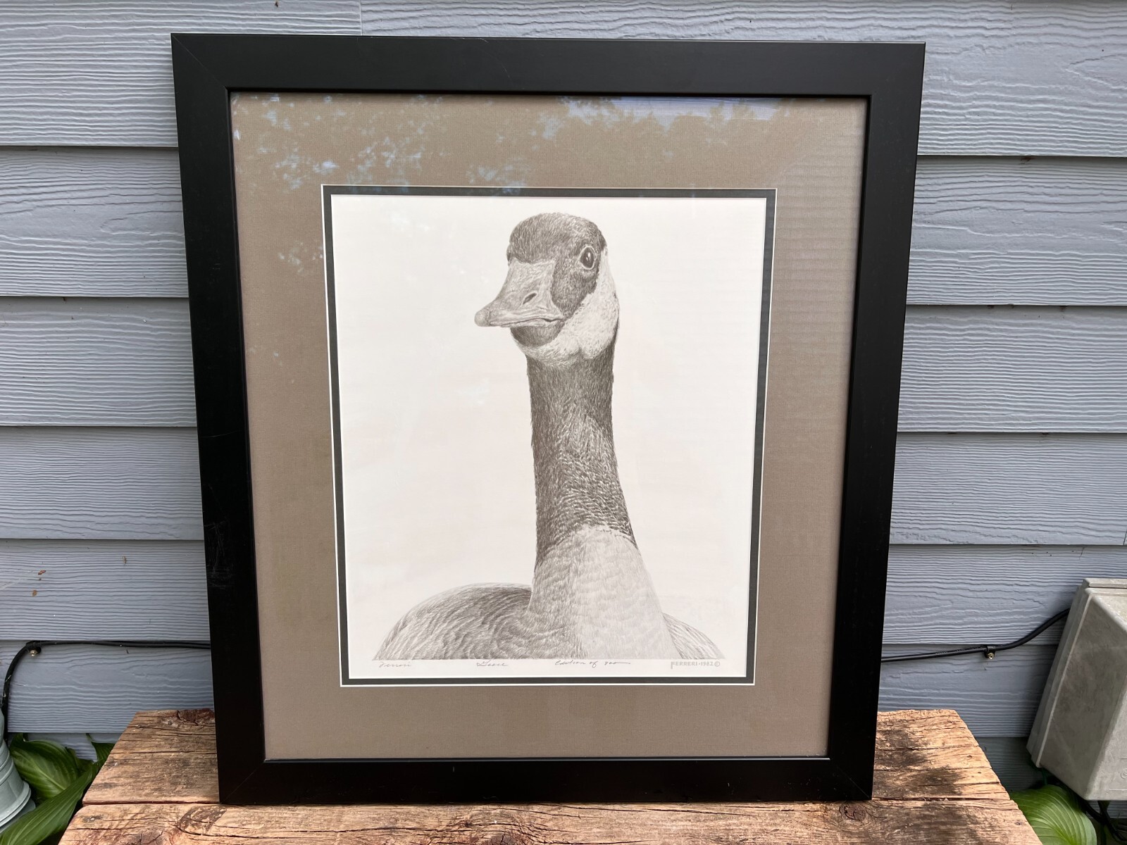 Ebay Item For Sale