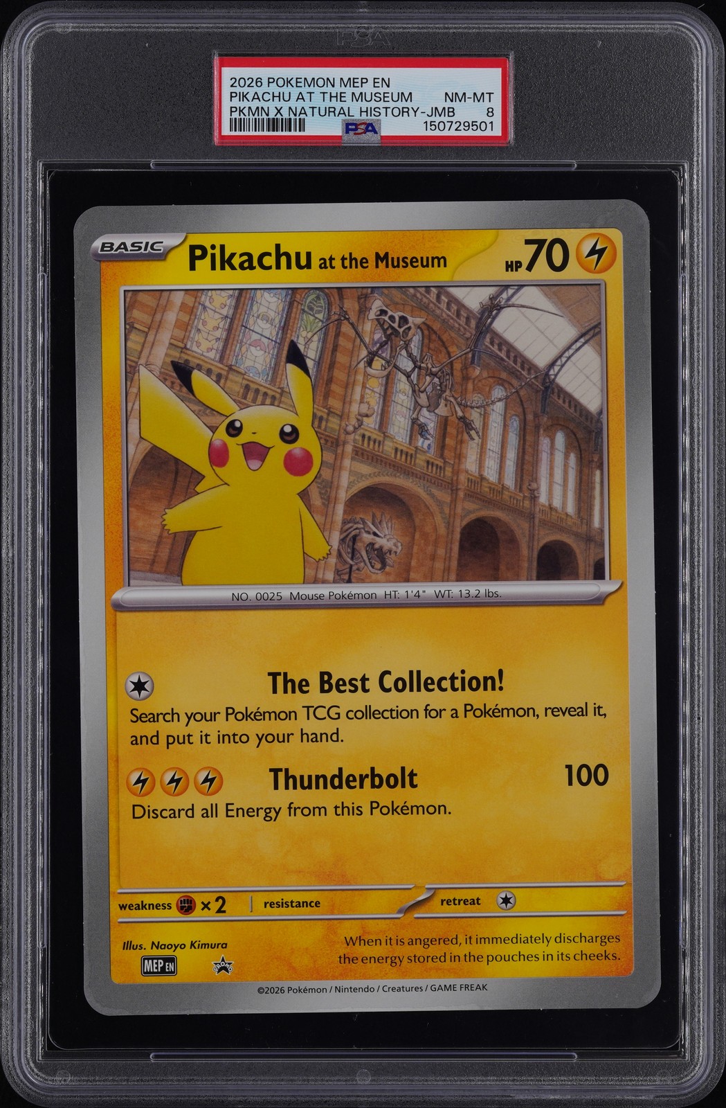 PIKACHU AT THE MUSEUM PKMN X NATURAL HISTORY-JMB Pokemon Mega Evolution PSA 8.0