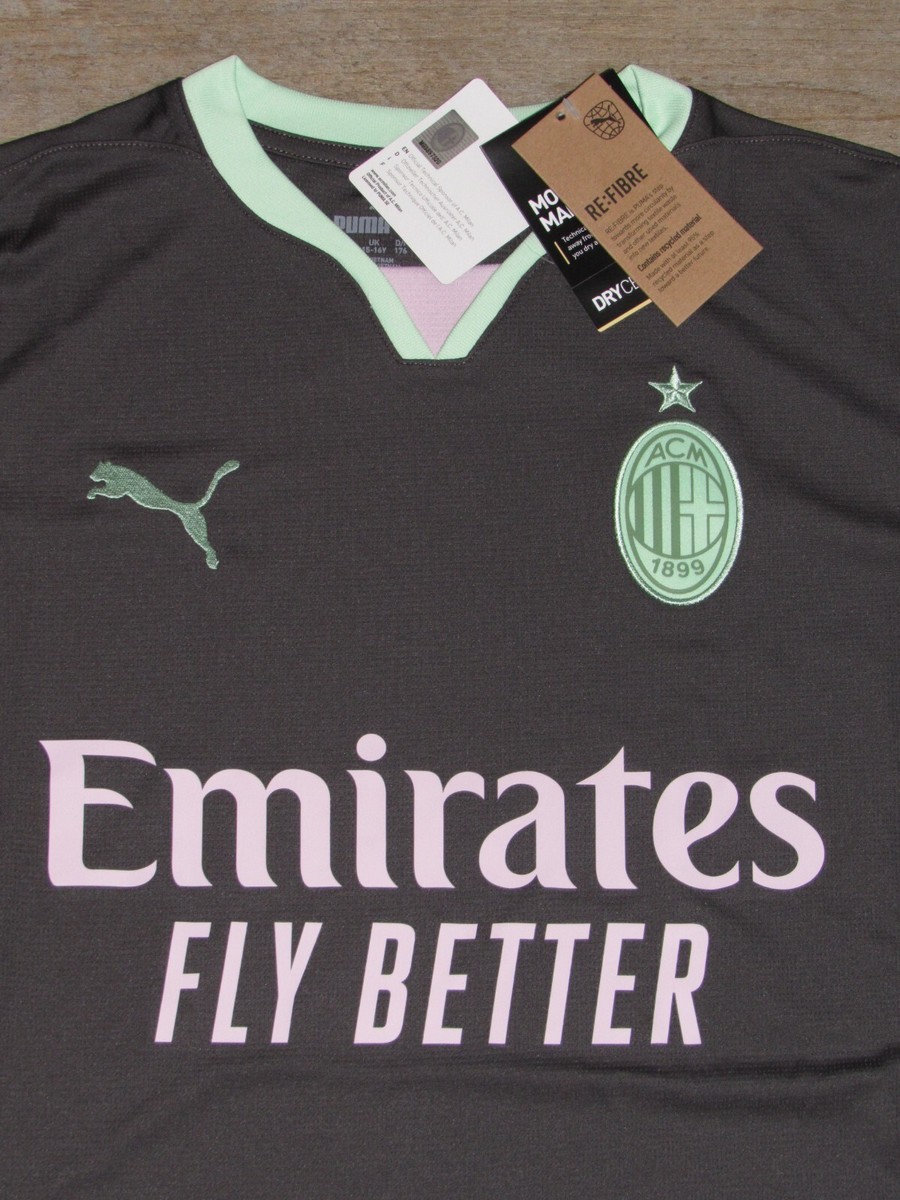 Puma AC Milan 125th Anniversary Dry Cell Gray Soccer Jersey $75