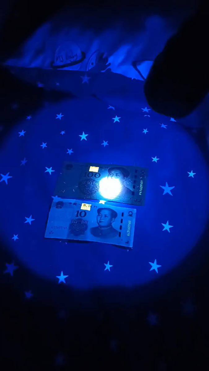 Skysted C8 Torcia LED UV 365nm Con Filtro – Luce Nera Professionale Per Controlli