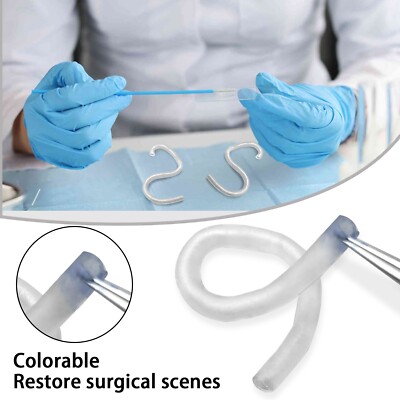 4x Human Transparent Vascular Model, Vascular Surgery Suturing Blocking Training