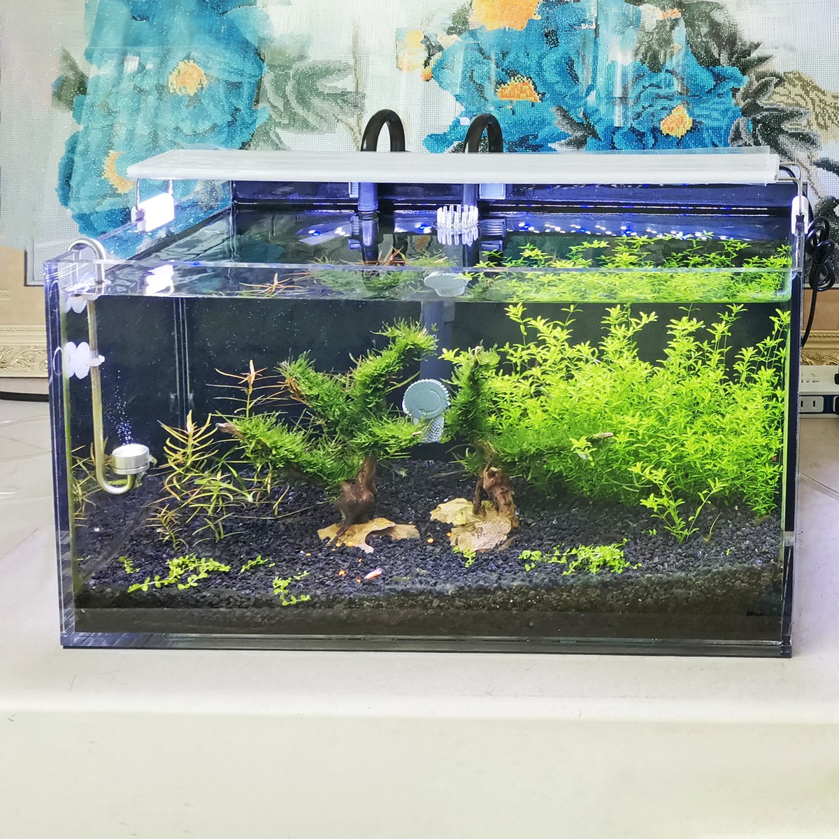 白黒2枚セットwerthy ASYMMETRY TANK(Cup in) 29198.970.jpg