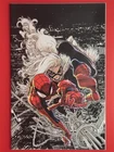 Amazing Spider-Man #26 Kaare Andrews Exclusive Virgin Variant Black Cat NM