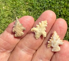 Group of 3 Texas  Steiner Arrowpoints  100% G...
