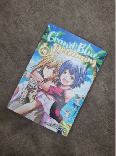 Grand Blue Dreaming 16 by Kimitake Yoshioka: 9781646514021 |  : Books