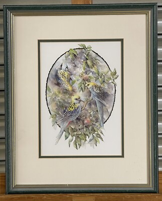 Gerahmter & glasierter Druck einer Rosella/Wellensittich nach einem Aquarell von Valerie Sefer