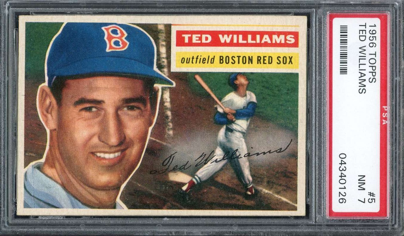 1956 Topps 5 Ted Williams (White Back) PSA 7 04340126