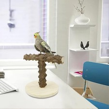 Parrot Playstand Pet Bird Playground Jungle Gym Bird Perch for Finches Conures