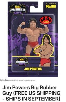 Big Rubber Guys Young Stallions LJN - 1/750 MOC WWF READ** | eBay