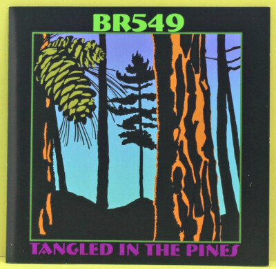 Tangeld In The Pines von BR549 (CD, wie neu)