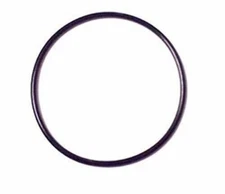 FLOW/PURWATT REPL O-RING F/MICRO-BIO F OR-4