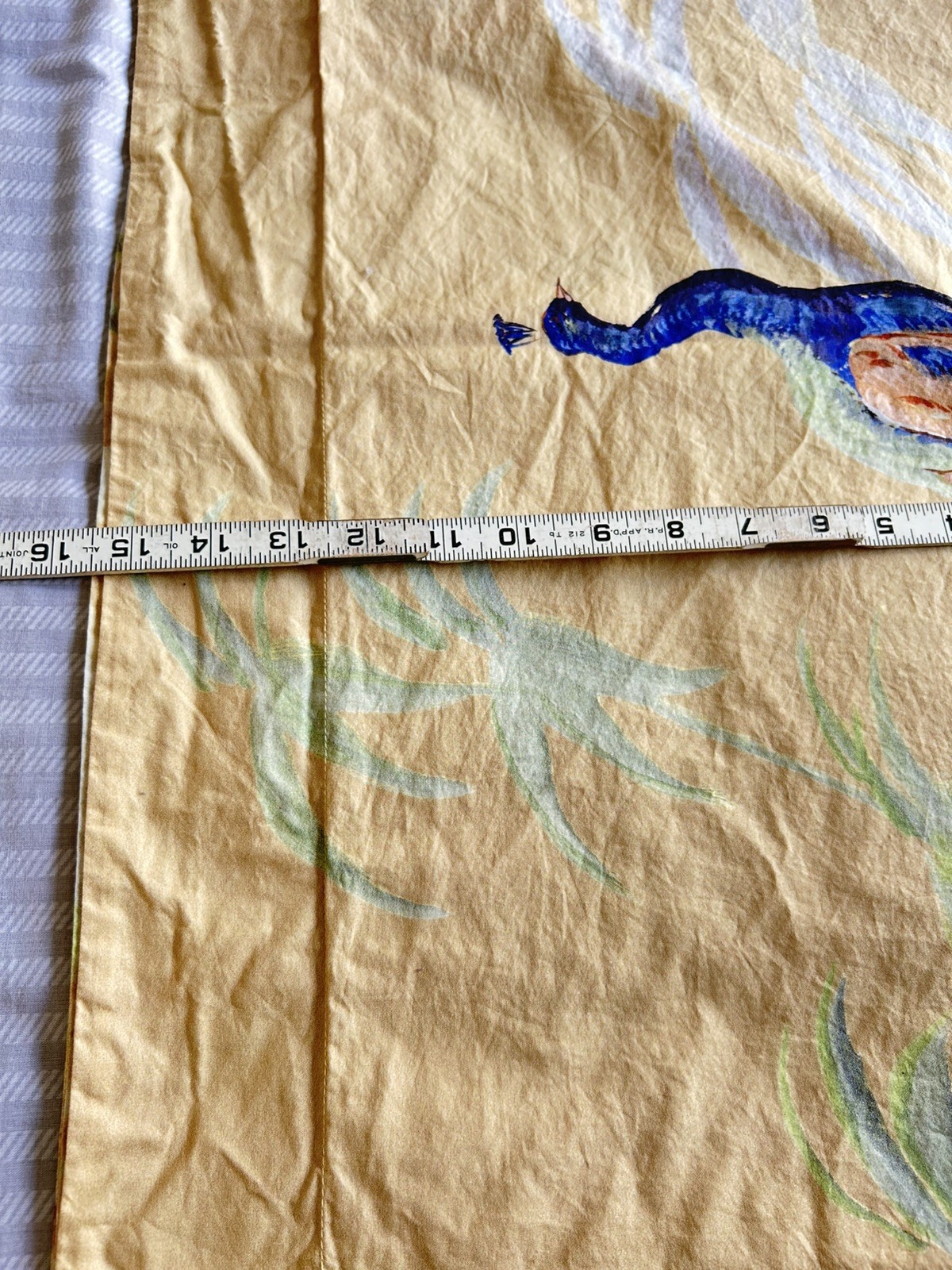 Picture 7 of 13
