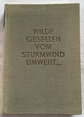 Wilde Gesellen vom Sturmwind umweht ... : Ein Bergfahrtenbuch. Lukan, Karl: