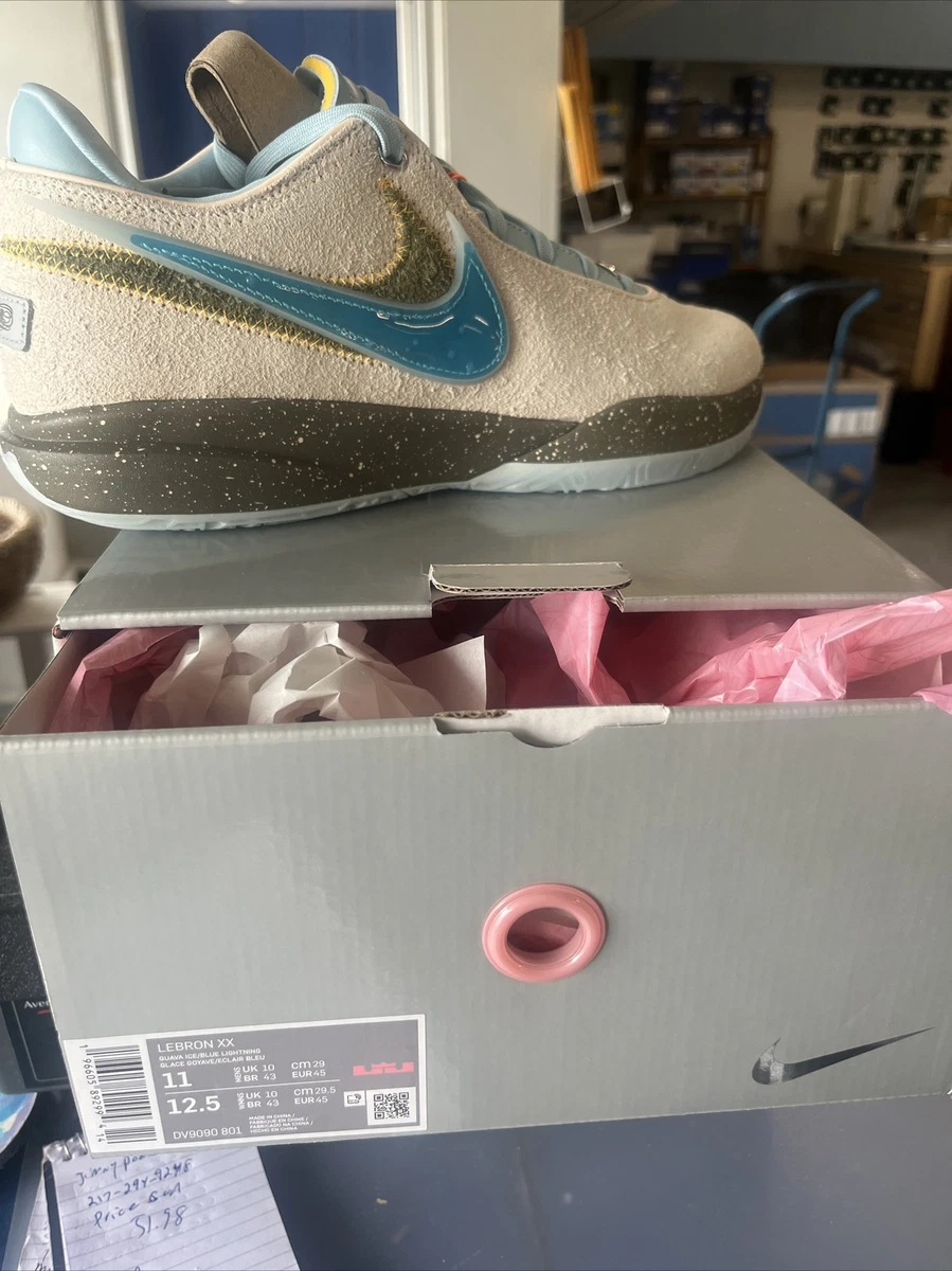 Nike Lebron XX 20 UNKNWN Message In A Bottle DV9090 801 Men Size