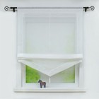 Foto 7 di 9