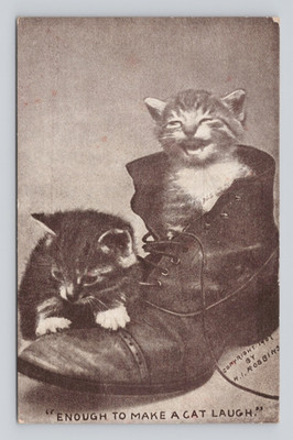 Cat postcard Enough to make a Cat Laugh By H.I. Robbins ~ 1910