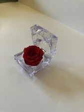 Forever preserved red rose in acrylic ring presentation box