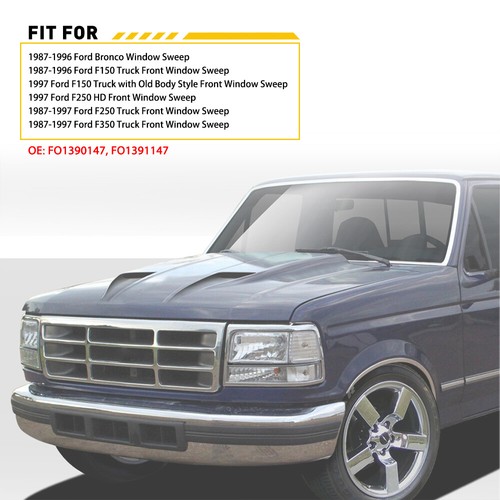 Weatherstrip Glass Window Run Channel Fit 1980-1997 F150 Bronco F250 F350 F450 - Picture 4 of 8