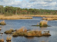 Photo A1 Pudmore Pond Pot Common/SU9042 Shallow pond in marshland betwe c2017