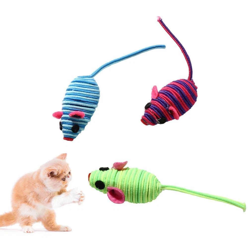 Cheap top kitten accessories