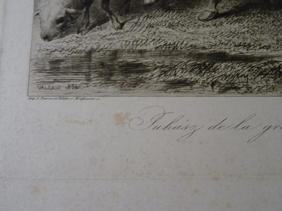 Théodore VALERIO (1819-1879) TRAJE DE GRABADO RARO HÚNGARO HÚNGARO MAGIAR 1854 c - Imagen 3 de 3
