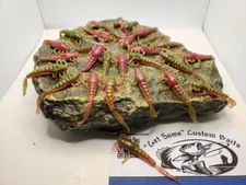 1.5" MAYFLY SOFT PLASTIC FISHING BAIT IN CHAMELEON / BRIGHT COLORS